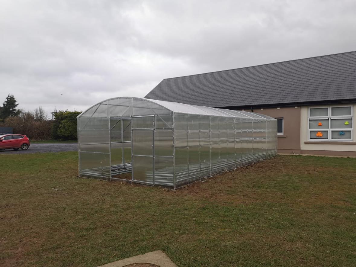 GREENHOUSE PRIMA-4 48 M² (4M X 12M; 13FT X 39.4FT)/ 6mm