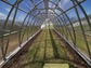 GREENHOUSE ARROW-3, 30M² (3M X 10M; 9.8FT X 33FT)