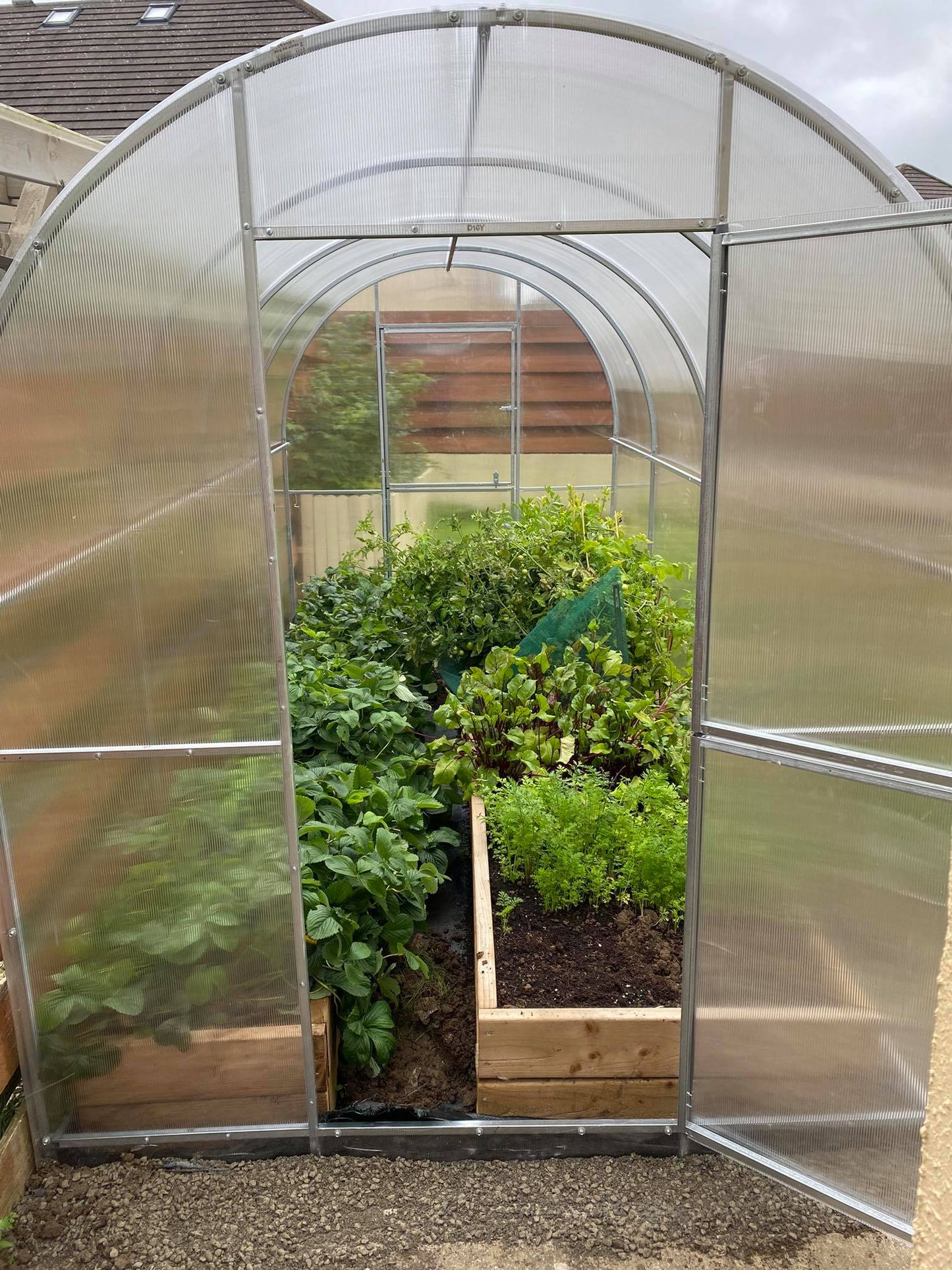 GREENHOUSE YOTA 16M² 2M X 8M (6.5FT X 26FT)