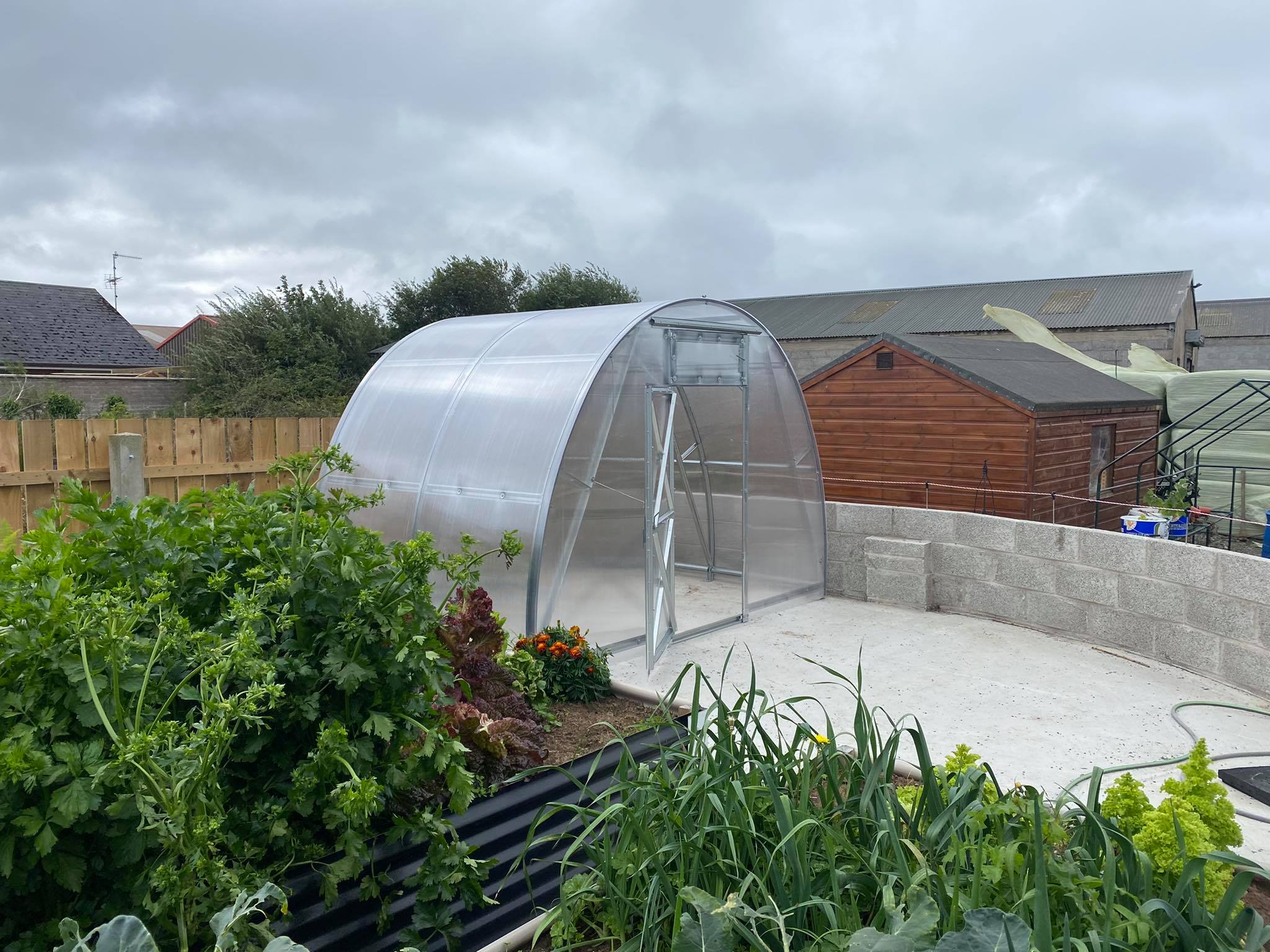 GREENHOUSE OPTIMA, 6M² (3M X 2M; 9.8FT X 6.5FT)