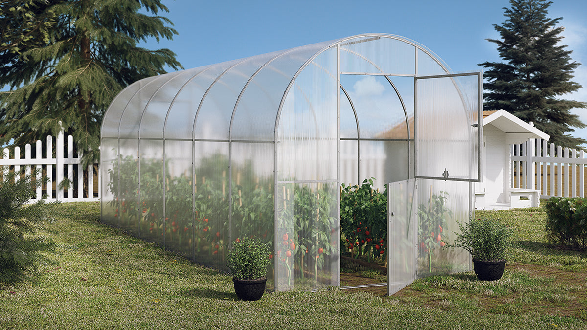 GREENHOUSE YOTA 16M² 2M X 8M (6.5FT X 26FT)