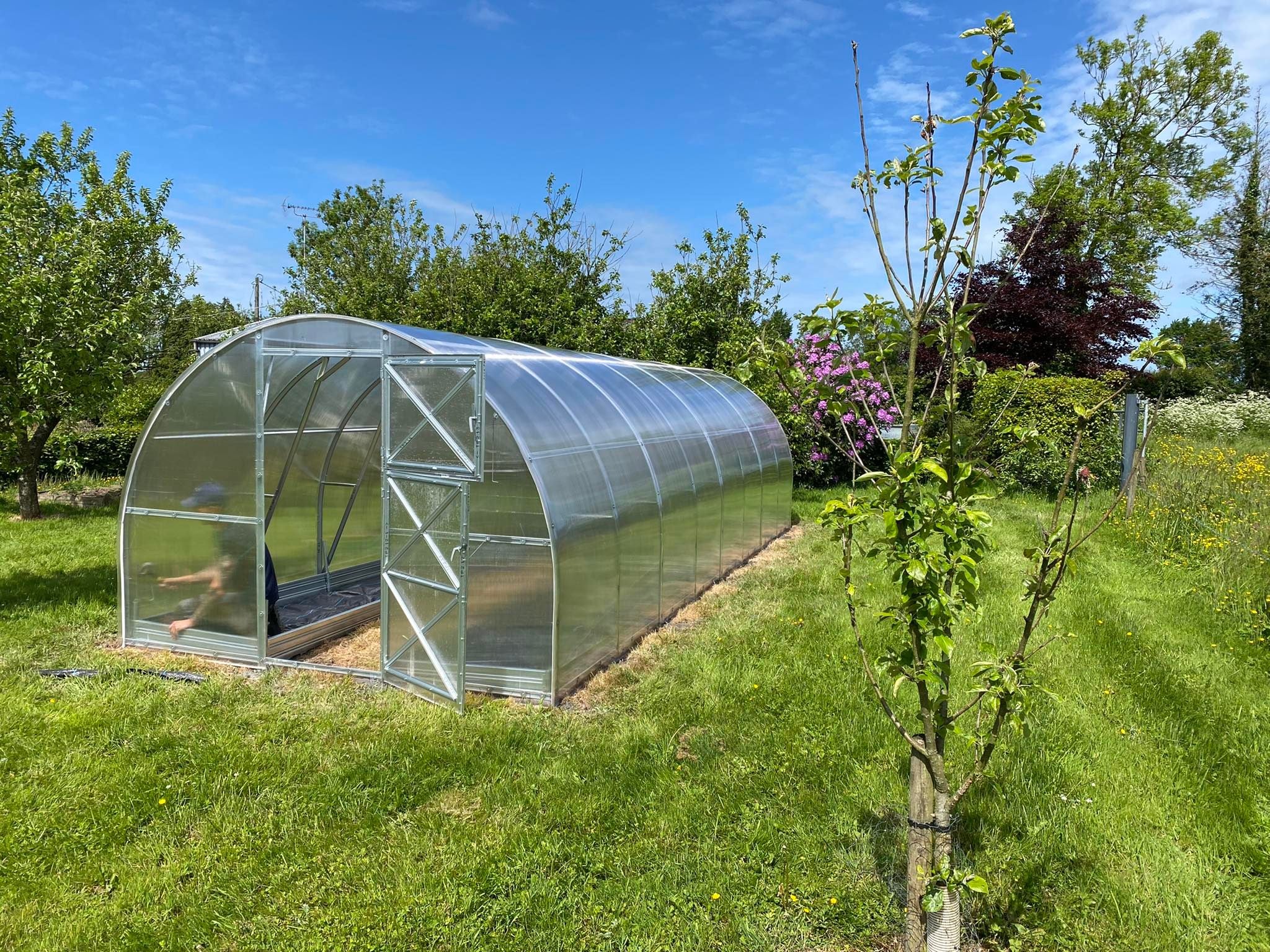 GREENHOUSE STRONG 24 M² 3M X 8M (9.8FT X 26FT)