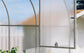 GREENHOUSE YOTA 16M² 2M X 8M (6.5FT X 26FT)